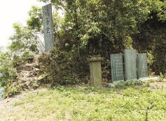 原料：高山原始生態(tài)，綠色有機(jī)品質(zhì)